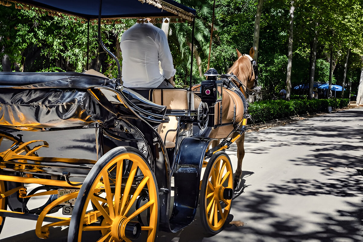 Calesa Sevilla